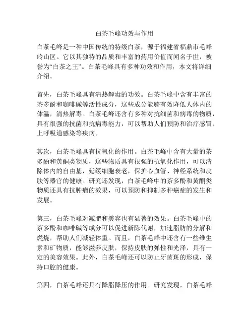 白茶毛峰功效与作用