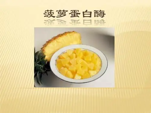 菠萝蛋白酶