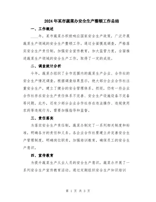 2024年某市蔬菜办安全生产整顿工作总结