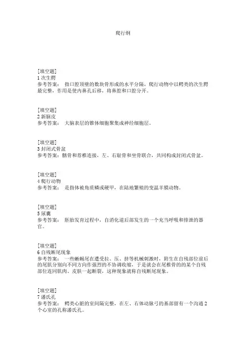 爬行纲