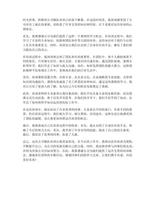 公司梯队培训心得体会范文
