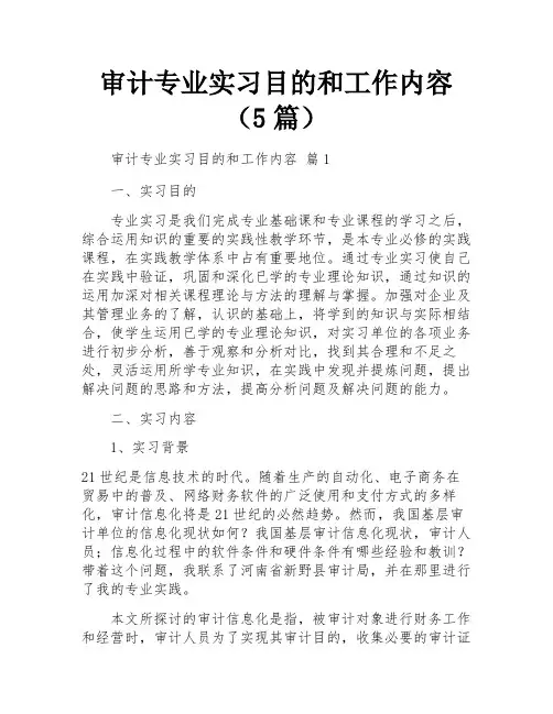 审计专业实习目的和工作内容(5篇)