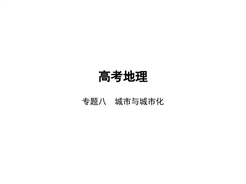 高考地理总复习 专题八 城市与城市化