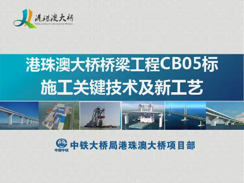 港珠澳大桥桥梁工程CB05标施工关键技术及新工艺(2014.4.1)