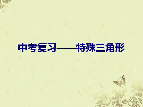 2013年中考数学特殊三角形