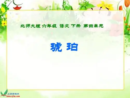 (北师大版)六年级语文下册课件 琥珀 4