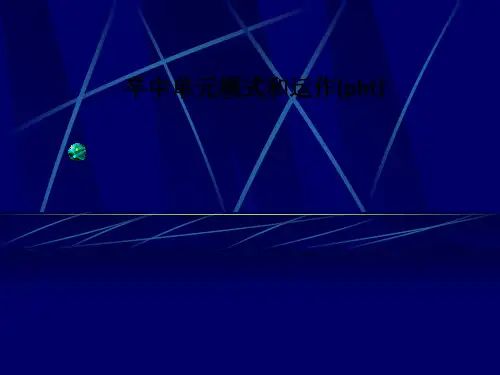 卒中单元模式和运作(pht)-PPT课件