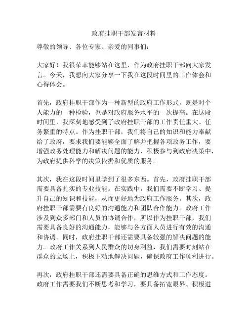 政府挂职干部发言材料
