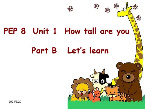 人教PEP六年级下册英语Unit1 How tall are you PartB(共15张PPT)
