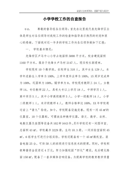 小学学校工作的自查报告