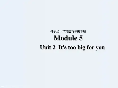 五年级下册英语课件-Module 5 Unit 2 It’s too big for you∣外研版