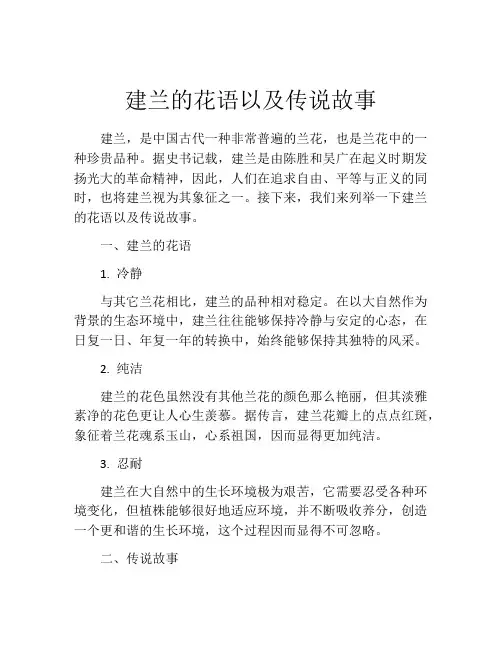 建兰的花语以及传说故事