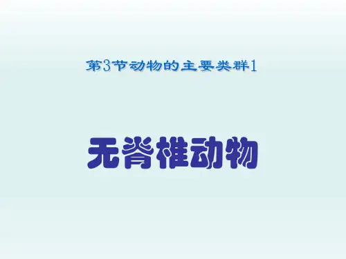 北师大版八下第7单元 22章 第4节 动物主要类群 无脊椎动物课件(34张ppt)