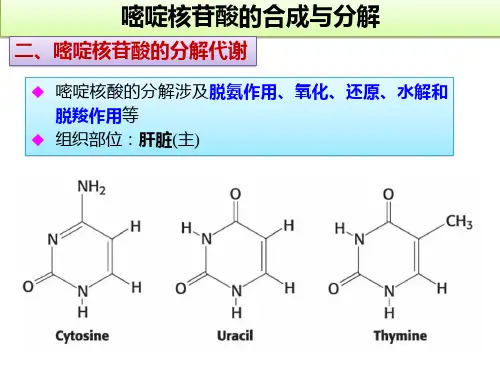 高中生物竞赛课件：嘧啶核苷酸的合成与分解