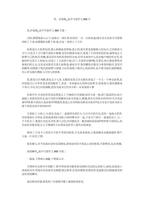 高中作文：美,在夜晚_高中写景作文800字