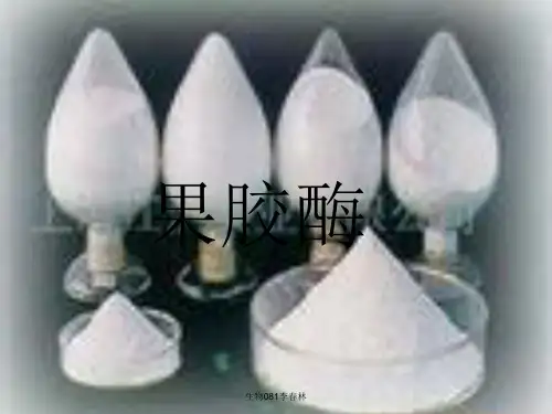 果胶酶在生产中的应用