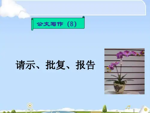 公文写作--请示、批复、报告概述(ppt 43页)