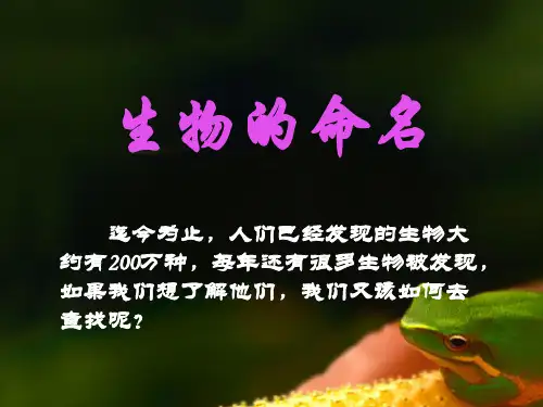 苏科版七年级下册生物：第1节 生物的命名和分类