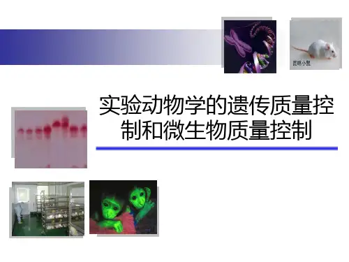 实验动物学PPT：实验动物遗传质量和微生物质量控制