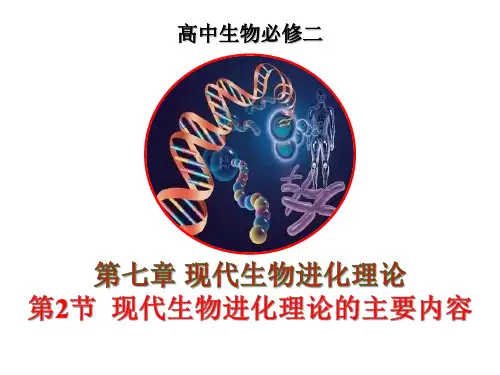 高中生物7.2 种群基因频率的改变与生物进化优秀课件