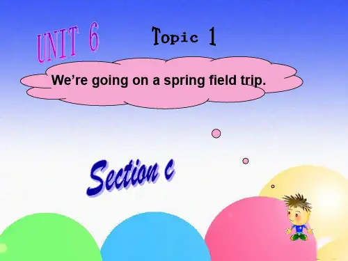 仁爱八年级下八下Unit6 Topic 1SectionC课件