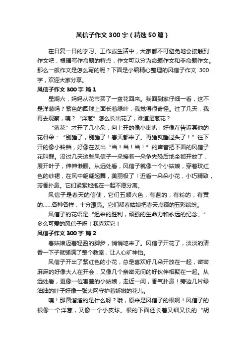 风信子作文300字（精选50篇）