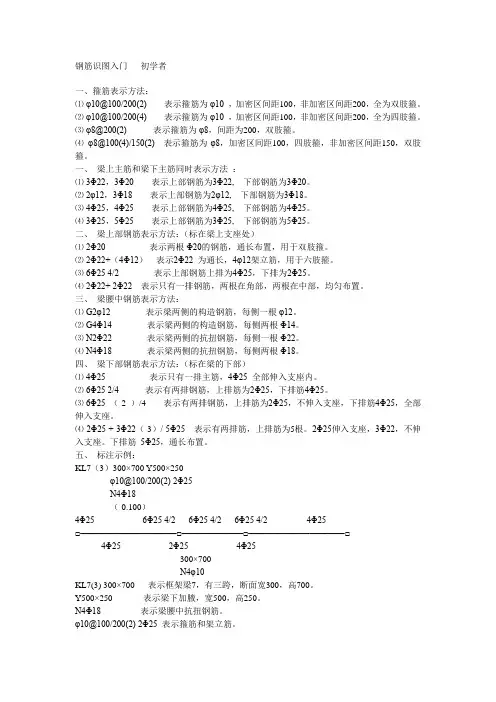 钢筋识图入门   初学者