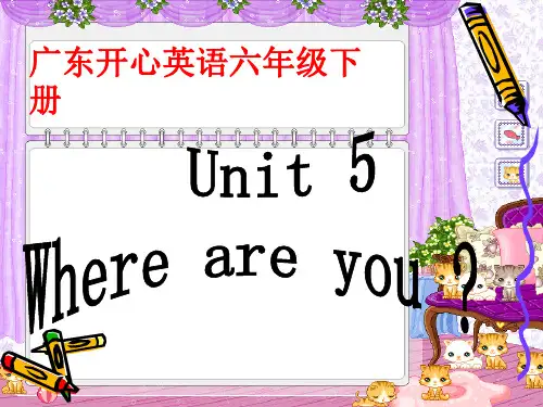 广东版开心英语六年级下《Unit5》PPT课件2