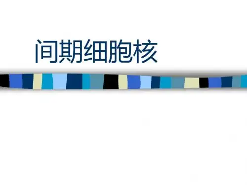 细胞生物学-9间期细胞核和染色体