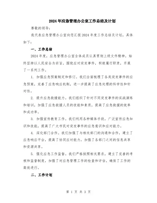 2024年应急管理办公室工作总结及计划