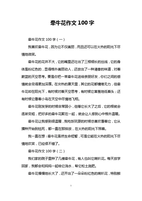牵牛花作文100字
