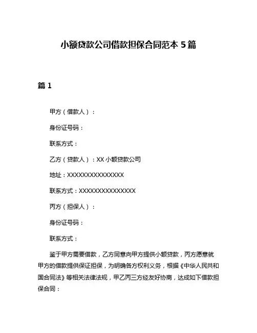 小额贷款公司借款担保合同范本5篇