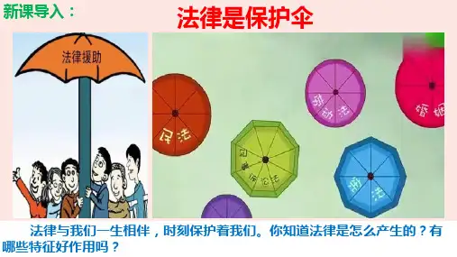 9.2 法律保障生活 课件(28张PPT)-2022-2023学年部编版道德与法治七年级下册