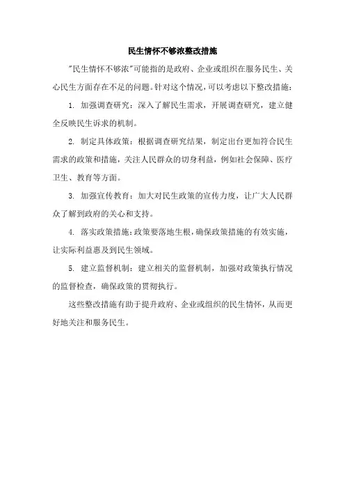 民生情怀不够浓整改措施