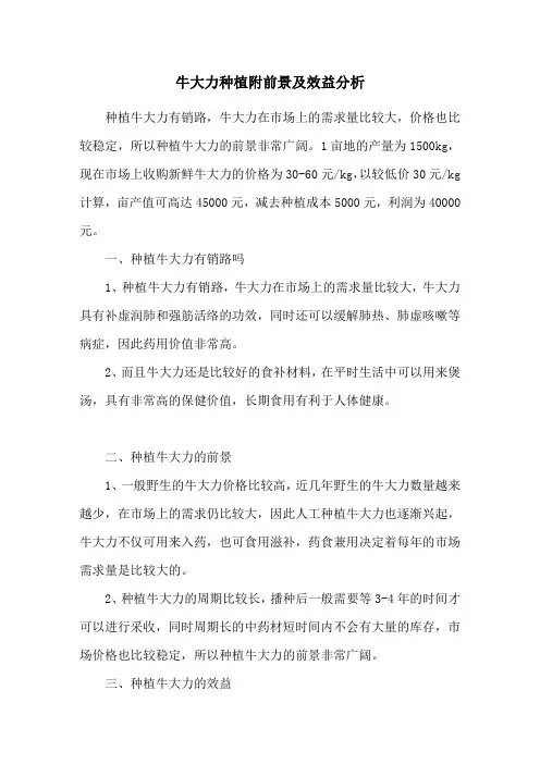 牛大力种植附前景及效益分析