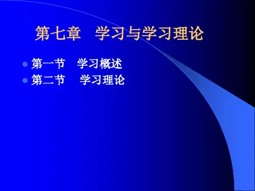 学习与学习理论.ppt