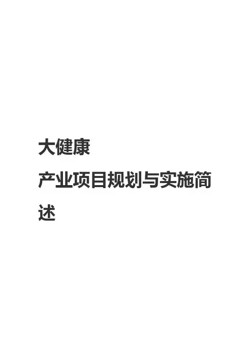 大健康产业项目规划与实施简述