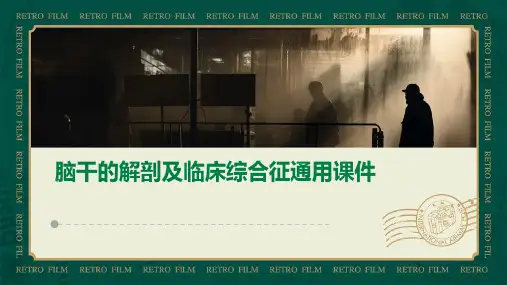 脑干的解剖及临床综合征通用课件