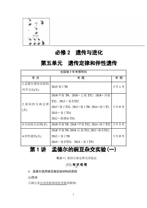 17-18版 必修2 第5单元 第1讲 孟德尔的豌豆杂交实验(一)