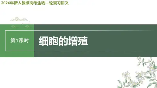 2024年新人教版高考生物一轮复习讲义  第4单元 第1课时 细胞的增殖