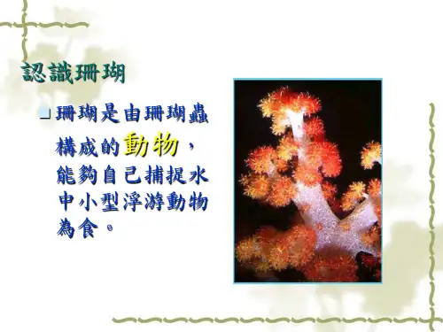 珊瑚的世界