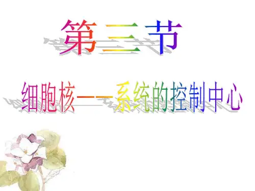 人教版高中生物必修一第3章第3节细胞核——系统的控制中心  课件(共15张PPT)
