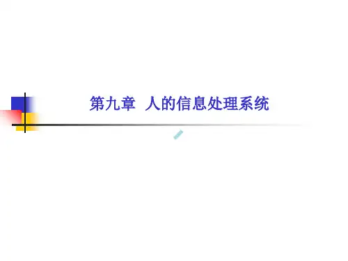 第9章人的信息处理系统