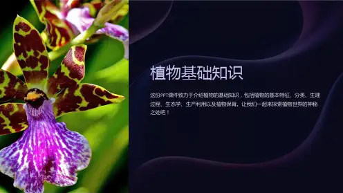 《植物基础知识》课件