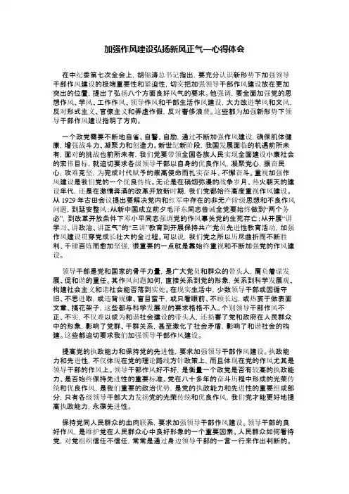 加强作风建设弘扬新风正气—心得体会