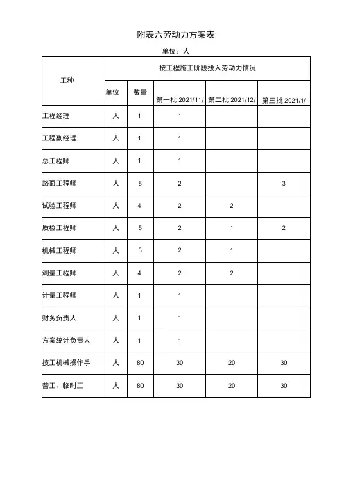 附表六-劳动力计划表