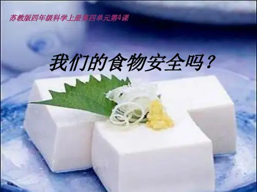 苏教版科学四年级上册课件：4.4我们的食物安全吗 课件 (4)
