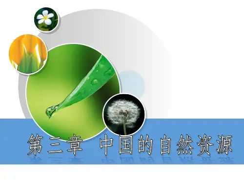 中国的自然资源概况ppt课件