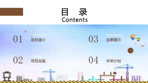 工程施工项目实施情况阶段汇报精品PPT