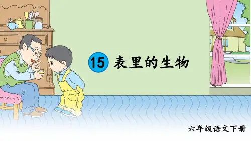 部编版六年级语文下册第15课《表里的生物》精美课件(共86张PPT)
